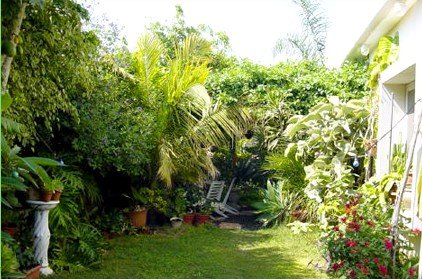 Gartenpflege und Gartengestaltung